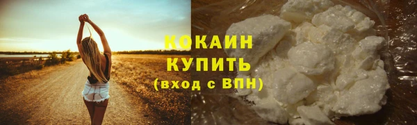 индика Бронницы